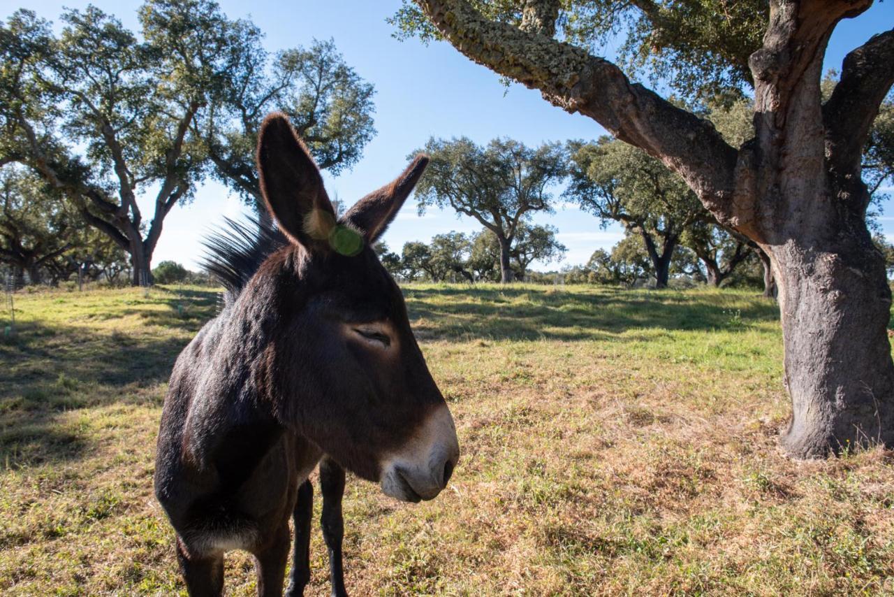 Herdade Das Onzenas De Cima Couco Dış mekan fotoğraf